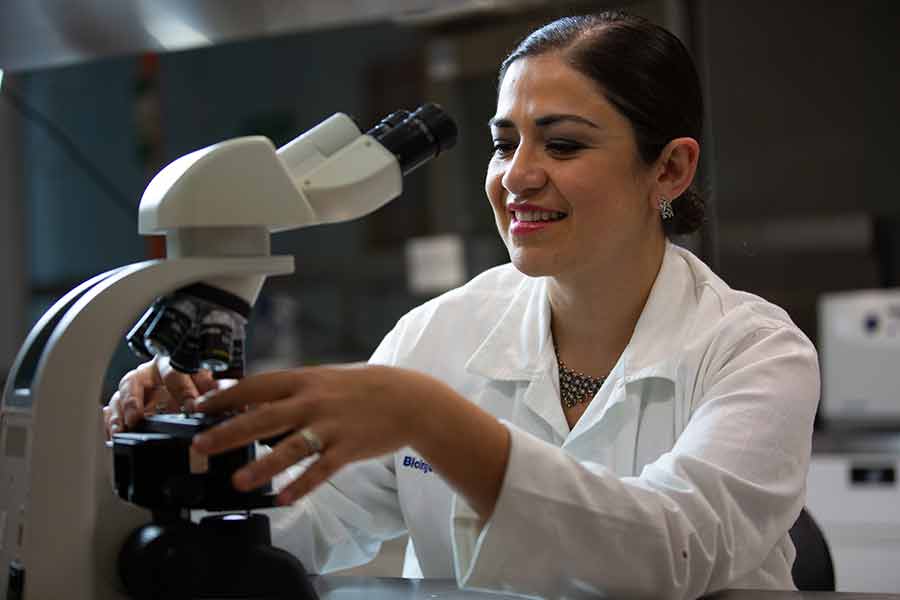 Crisis en la ciencia mexicana: 75% de investigadores sin empleo formal