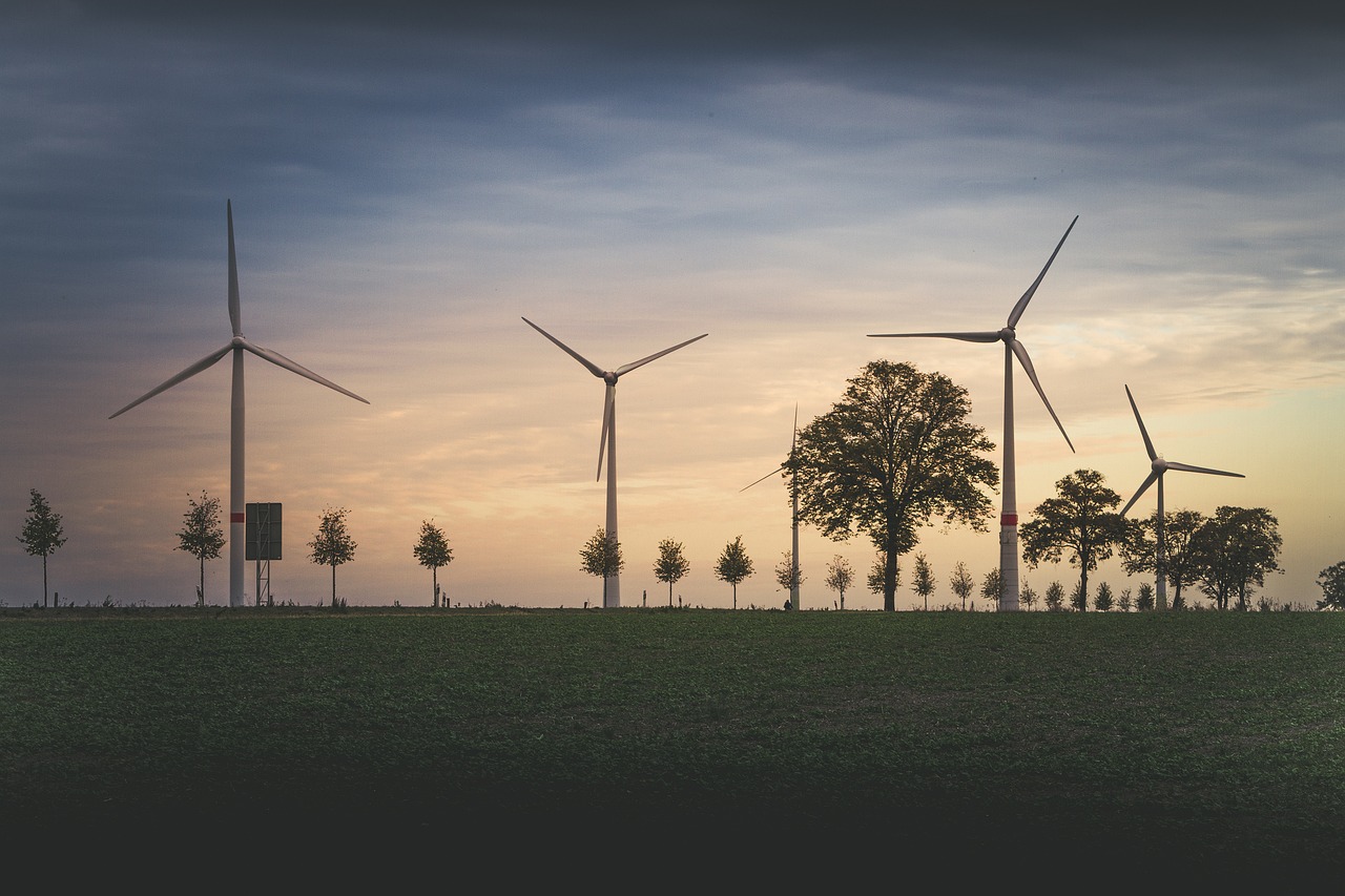 Gobierno de México lanza convocatoria para proyectos de energía renovable