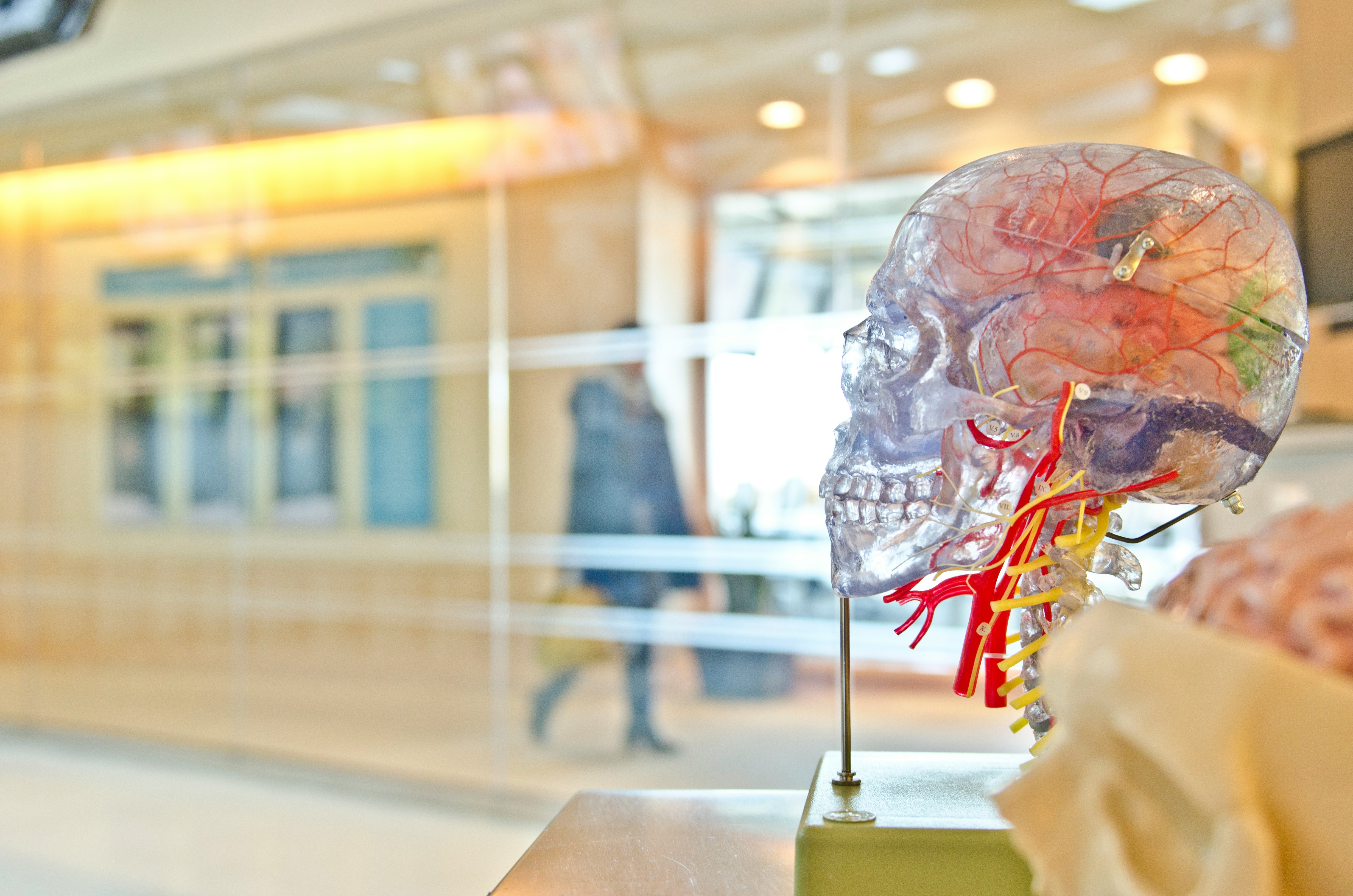 Estados Unidos aprueba nueva regulación para inteligencia artificial en salud