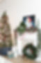 6D0A0007.jpg