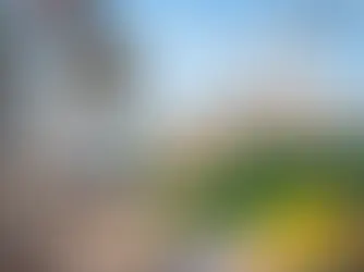 למה חשוב לבחור שירות מקצועי לפינוי פסולת?