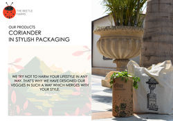 THE BEETLE FARM READY FOR WIX 9