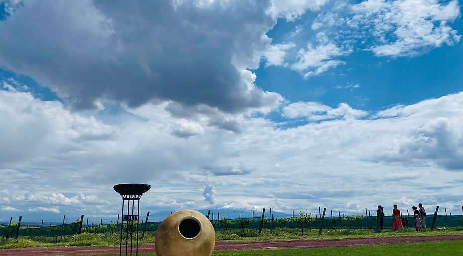 Beautiful vineyard with clouds, blue skies 