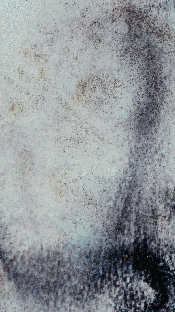 4.LaPatine2LaPatinexBridlenLine-compressed-ezgif.com-video-to-gif-converter.gif