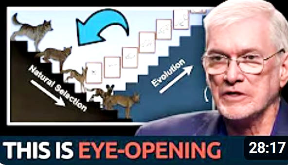 Watch video of Ken Ham dismantling atheists' top objections