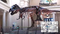 Watch video called uncovering the truth about dinosaurs