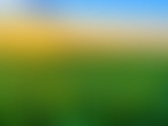 7 WACO Seniors Accepted for Iowa Degree Recipients 