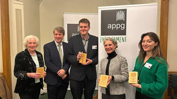 Baroness Hayman collects 'Peer of the Year' award in parliament