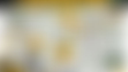 P4P attend Ecocide Workshop with parliamentarians and experts