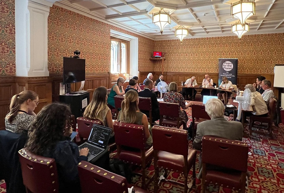 Peers briefed on UK food and national security risks