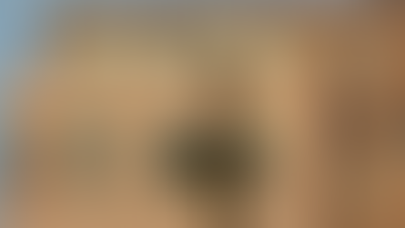 Celebrating the UK’s urban green spaces and their wild inhabitants