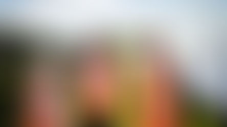 P4P Chair joins Chris Skidmore MP to learn about advancements in onshore wind and solar farms