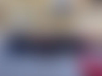 Peers for the Planet sister group launches in the Canadian Senate