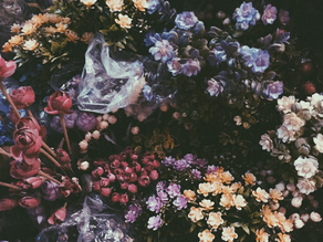 A garden of stories