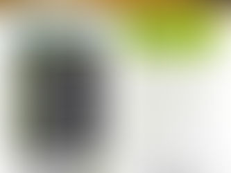 Transport de personnes HSF