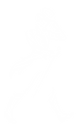 Artboard 1 copy 3.png