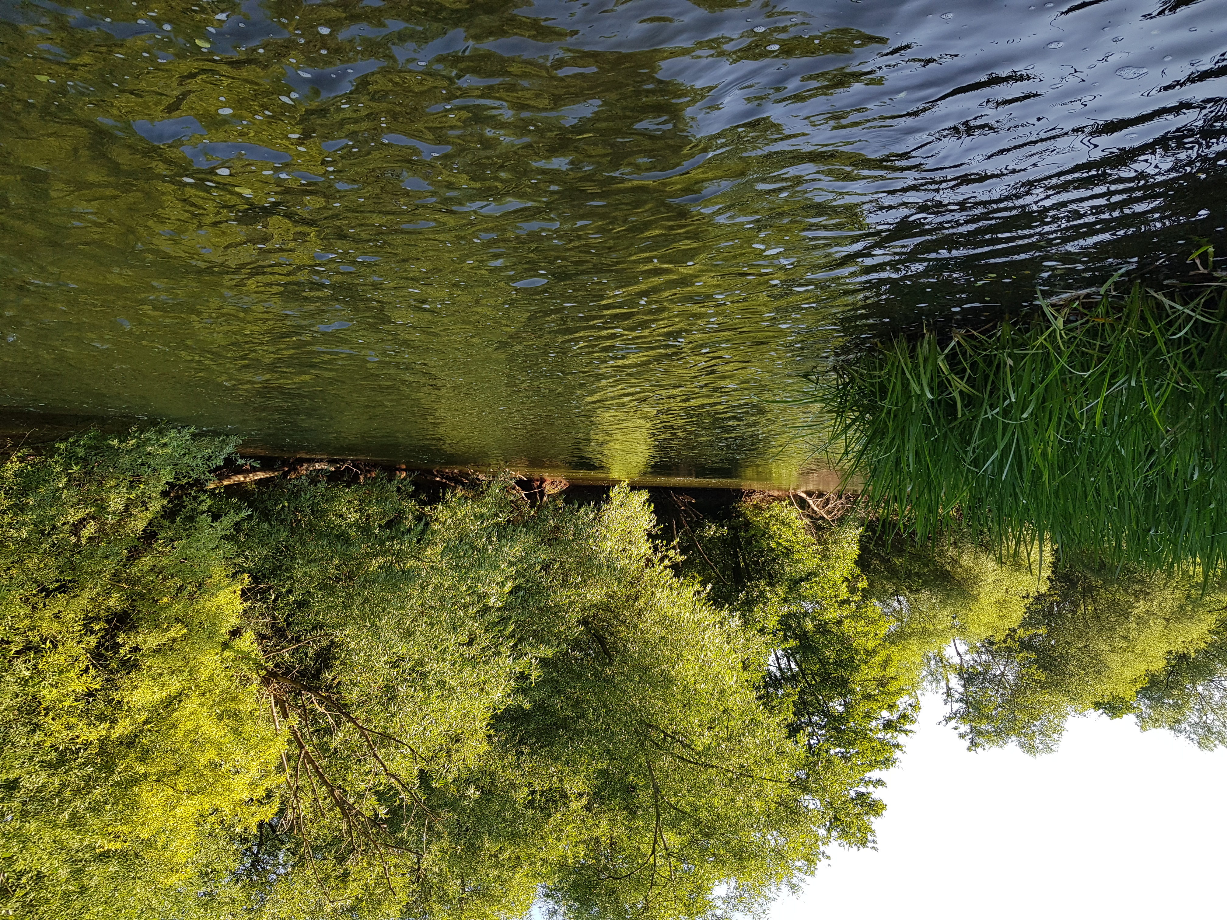 River Lugg Fly Fishing Clubs | Aymestery | Mortimers Cross