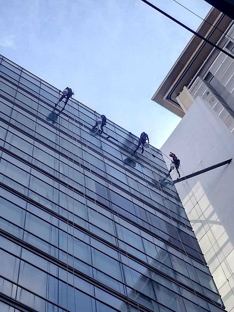 Vertical Pro Rope Access Team