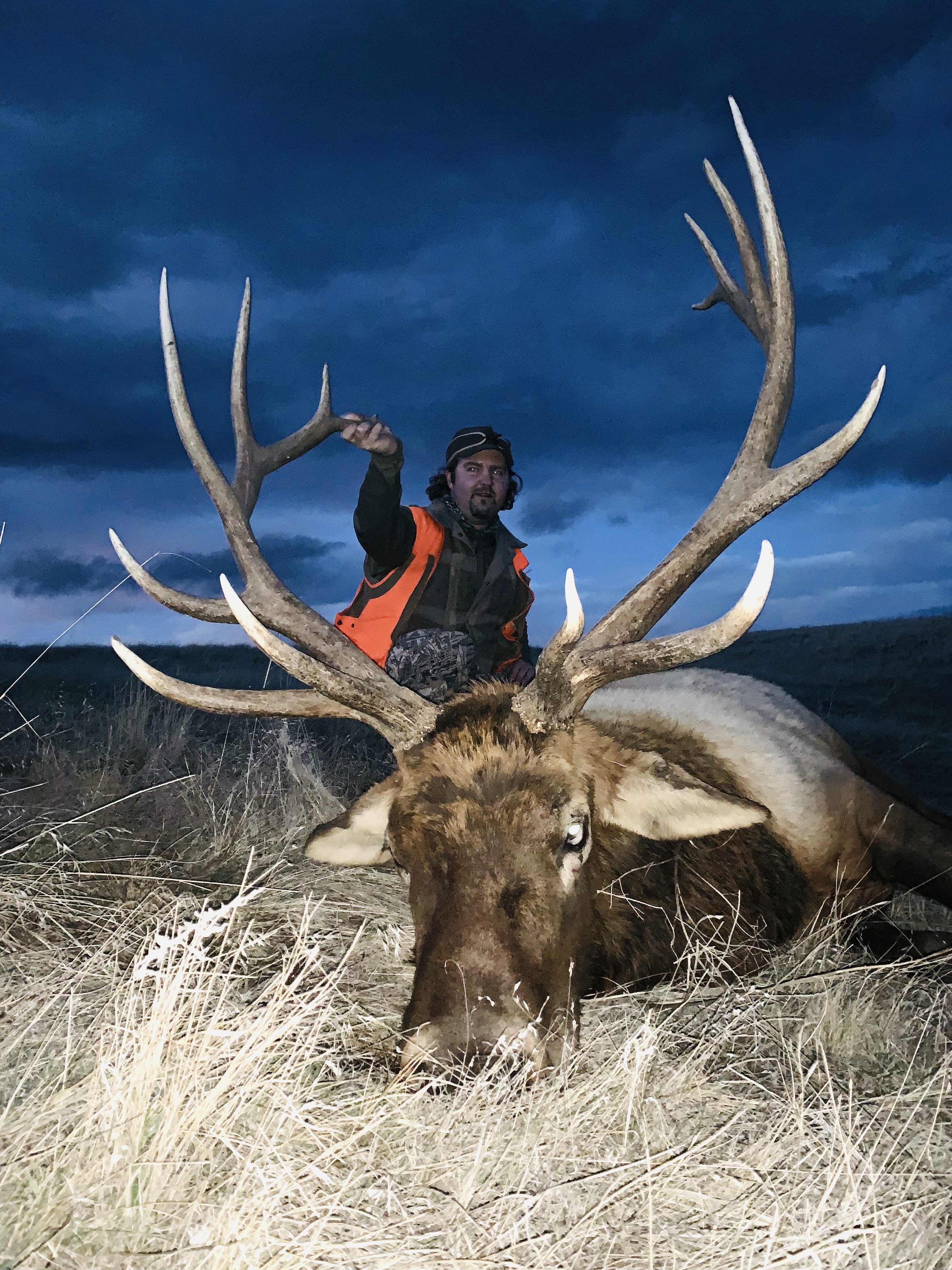 Elk Cayuse Hills Outfitt