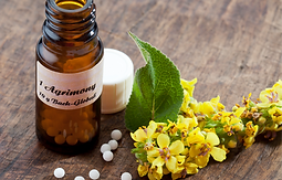 Homeopathic Treatment