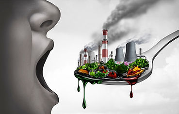 Toxins-in-our-Food.jpg