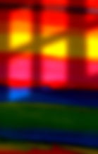 SF Cover Colors 120_edited_edited.jpg