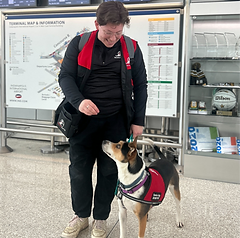 Service dog in training_edited.png