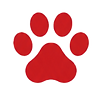 Dog paw