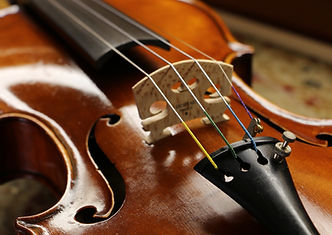 Reparis_Violin_Bridge2.jpg