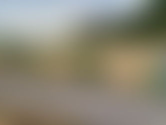 相互扶助の実践