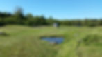 20150610_180231 - Copy.jpg