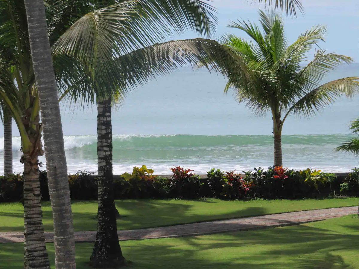 casablanca beach view palm tree.webp