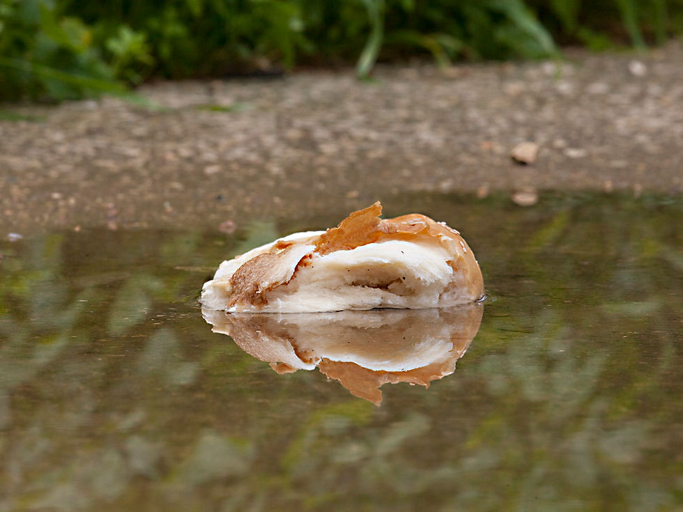 Cast your bread upon the water