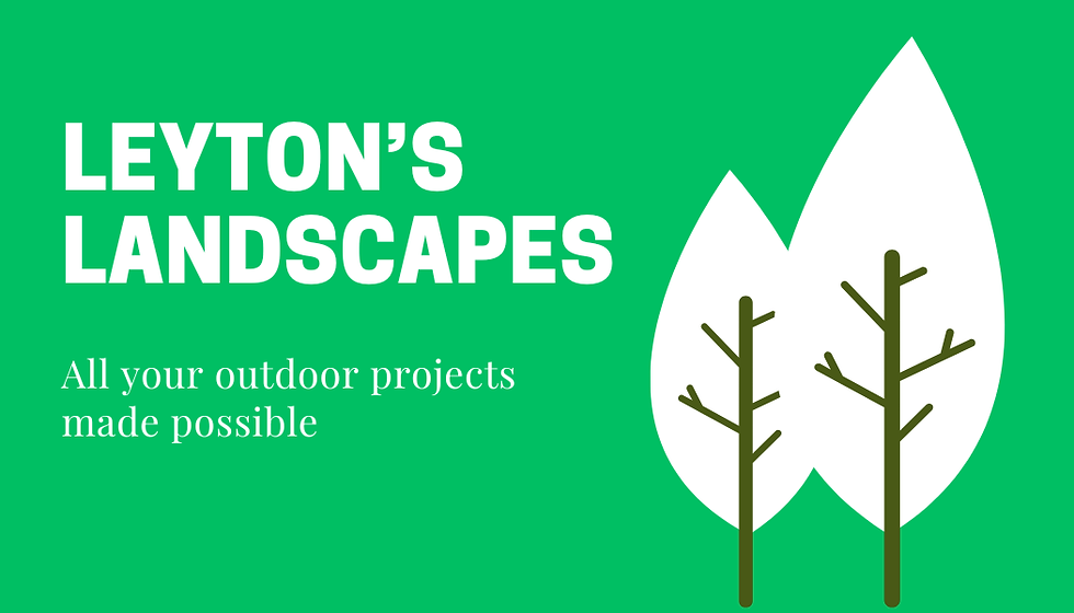 Leyton’s landscapess (1).png