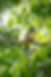 DSC05637-topaz-denoise-sharpen.jpeg