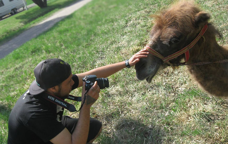 Grass | Camel | Producer | Gamedeveloper