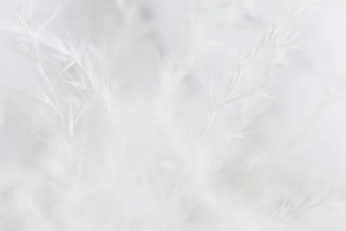 shutterstock_2513761779.jpg
