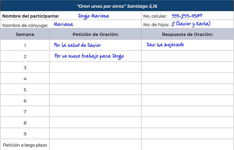 Diario de Oración NAV.png