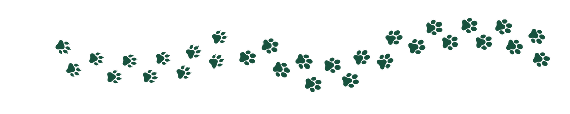 Faixas adesivas  (1).png