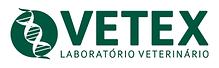vetex-2.png