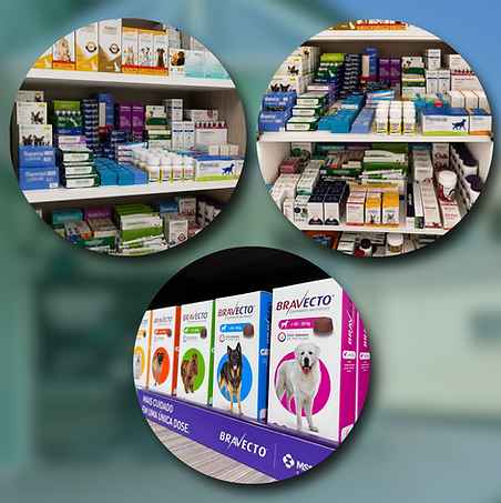Artes produtos.png