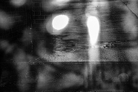 Late Night Sidewalk Sensations