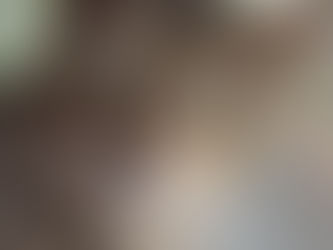 Chamberlain (Male, 3 Years Old)