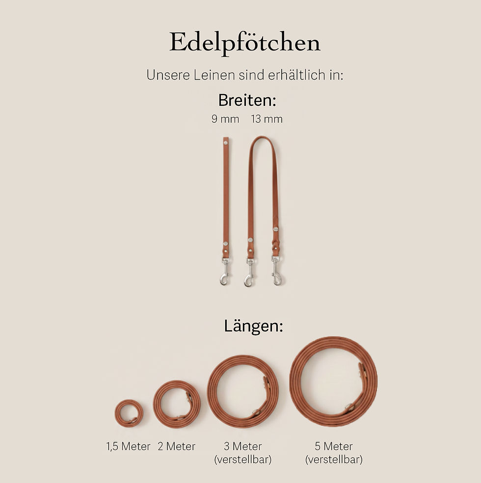 Miniaturbild: Biothane® Hundeleine verstellbar – Klassik-Edition