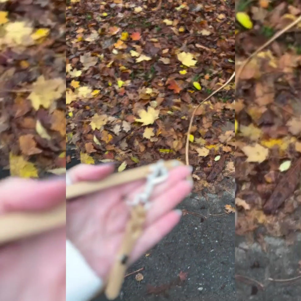 Miniaturbild: Biothane® Hundeleine verstellbar – Klassik-Edition