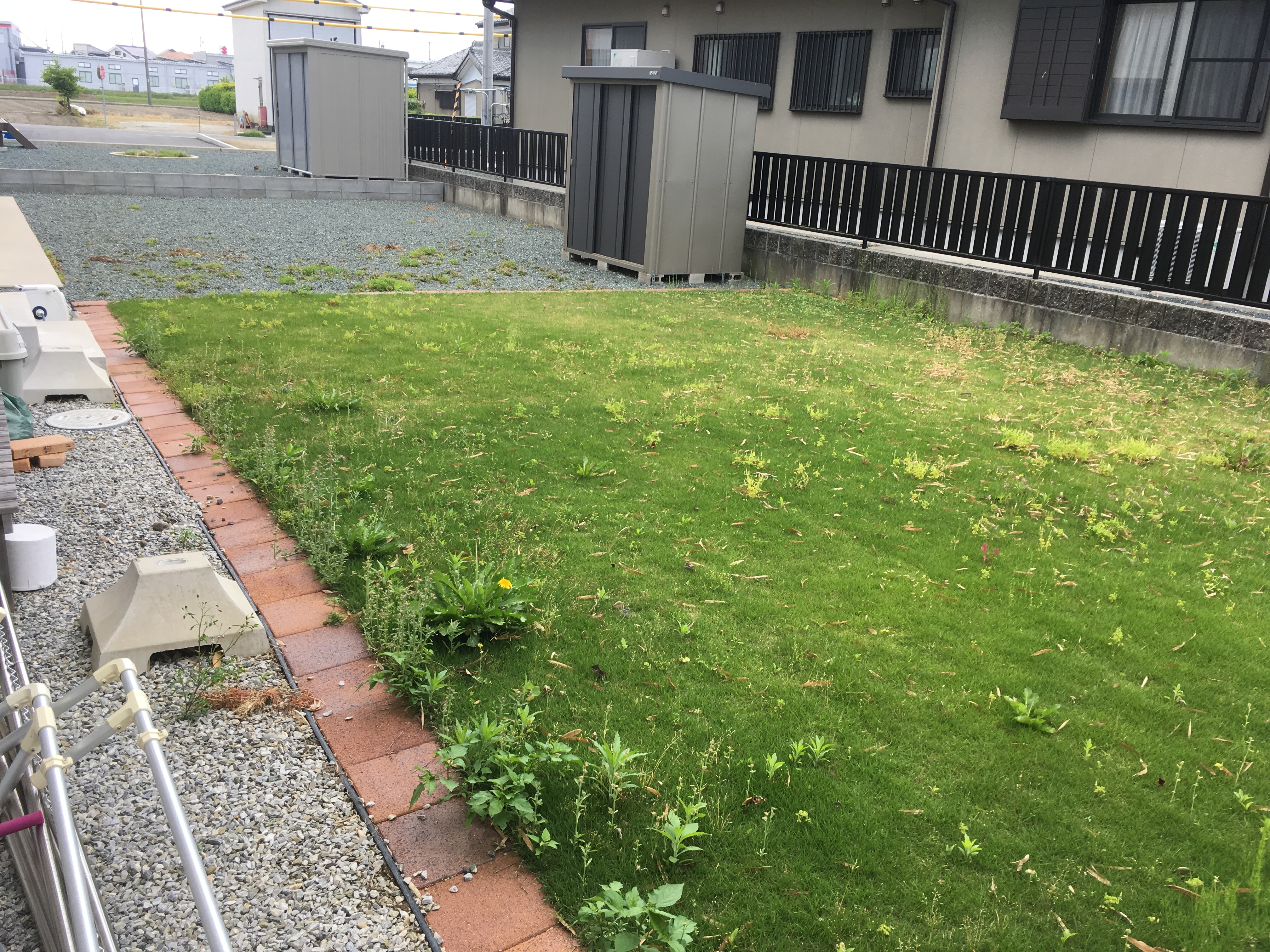 芝刈り前(磐田市)