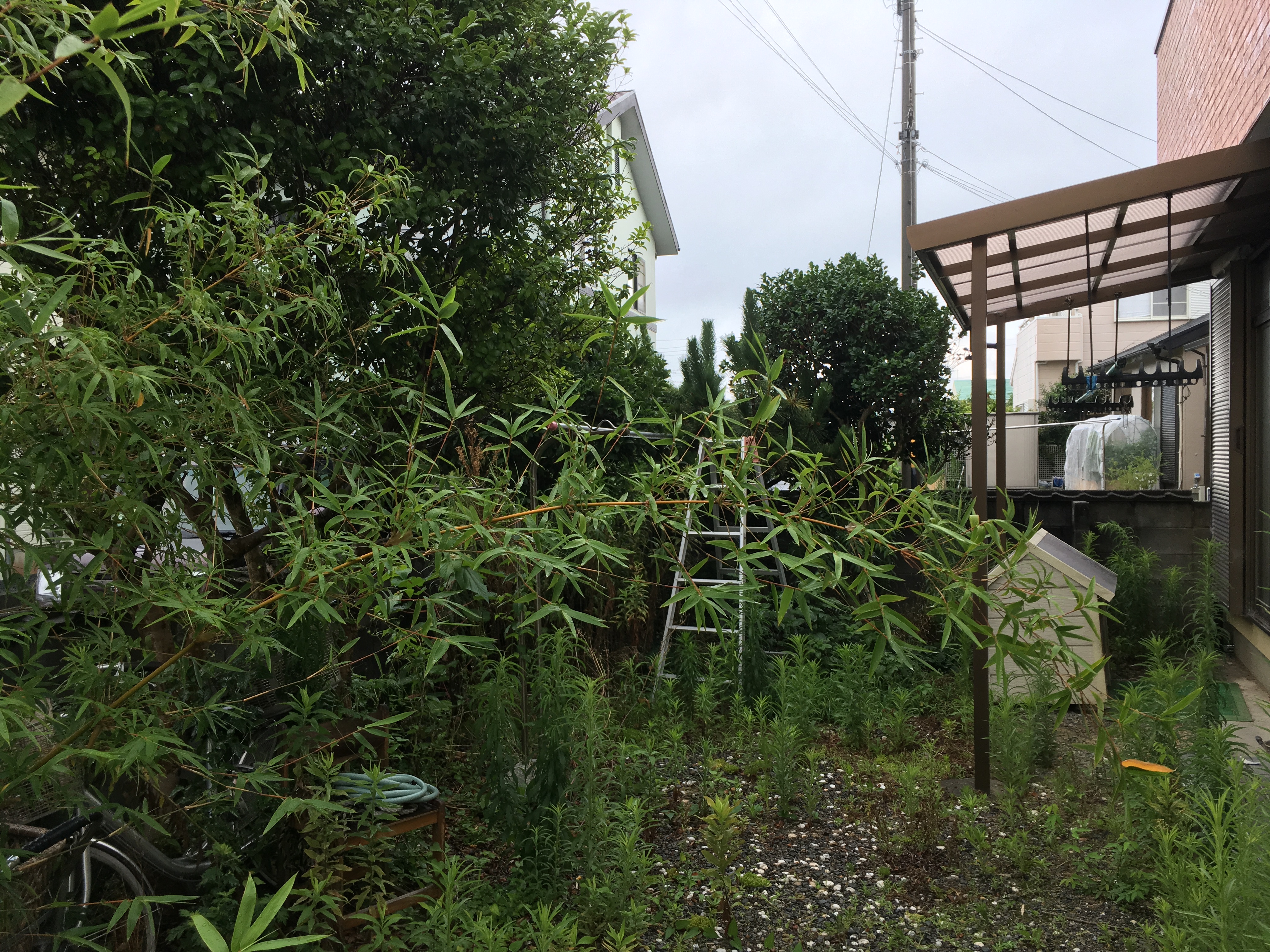 草刈り・伐採前(磐田市)