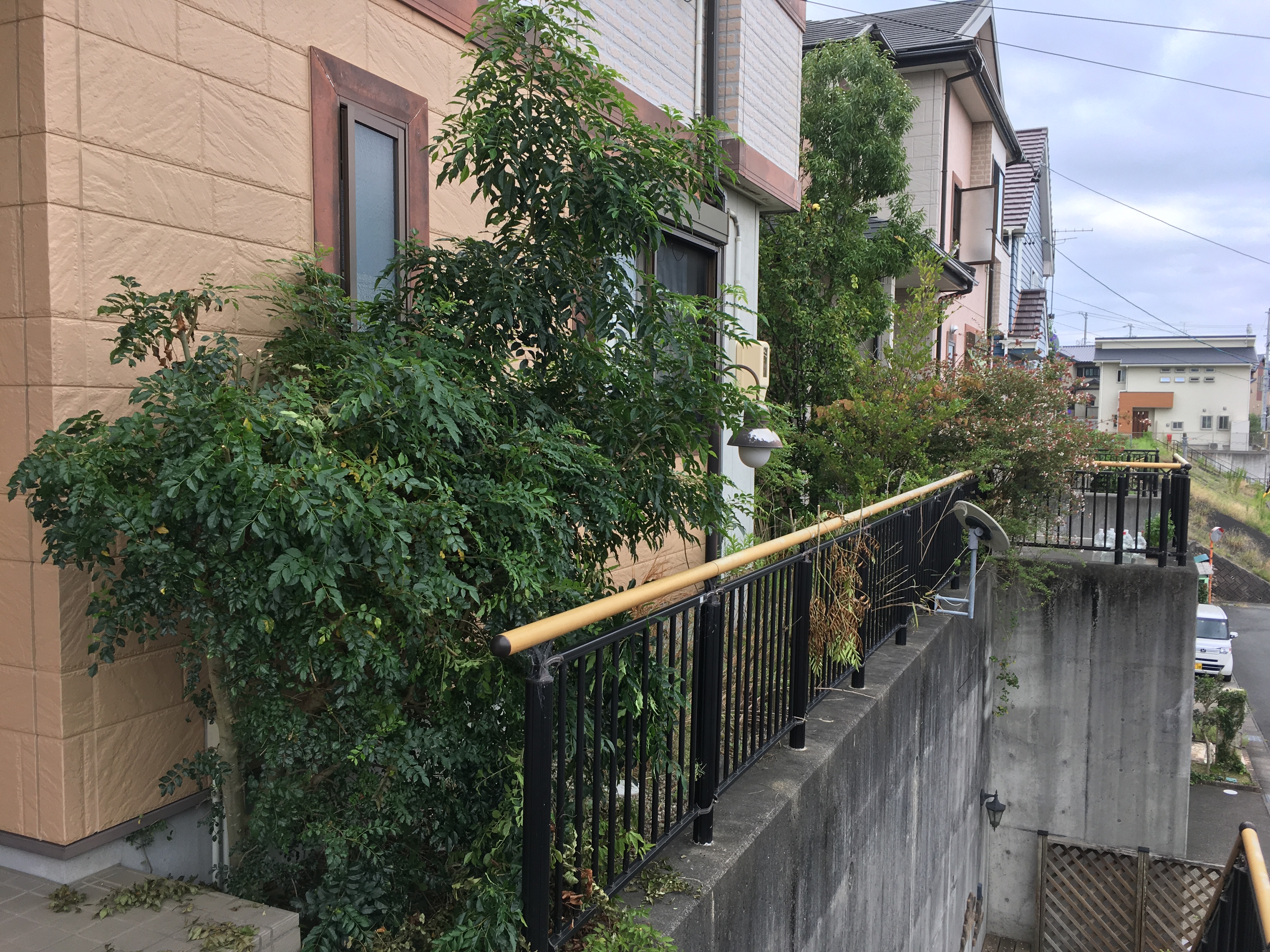 草刈り・伐採前(磐田市)