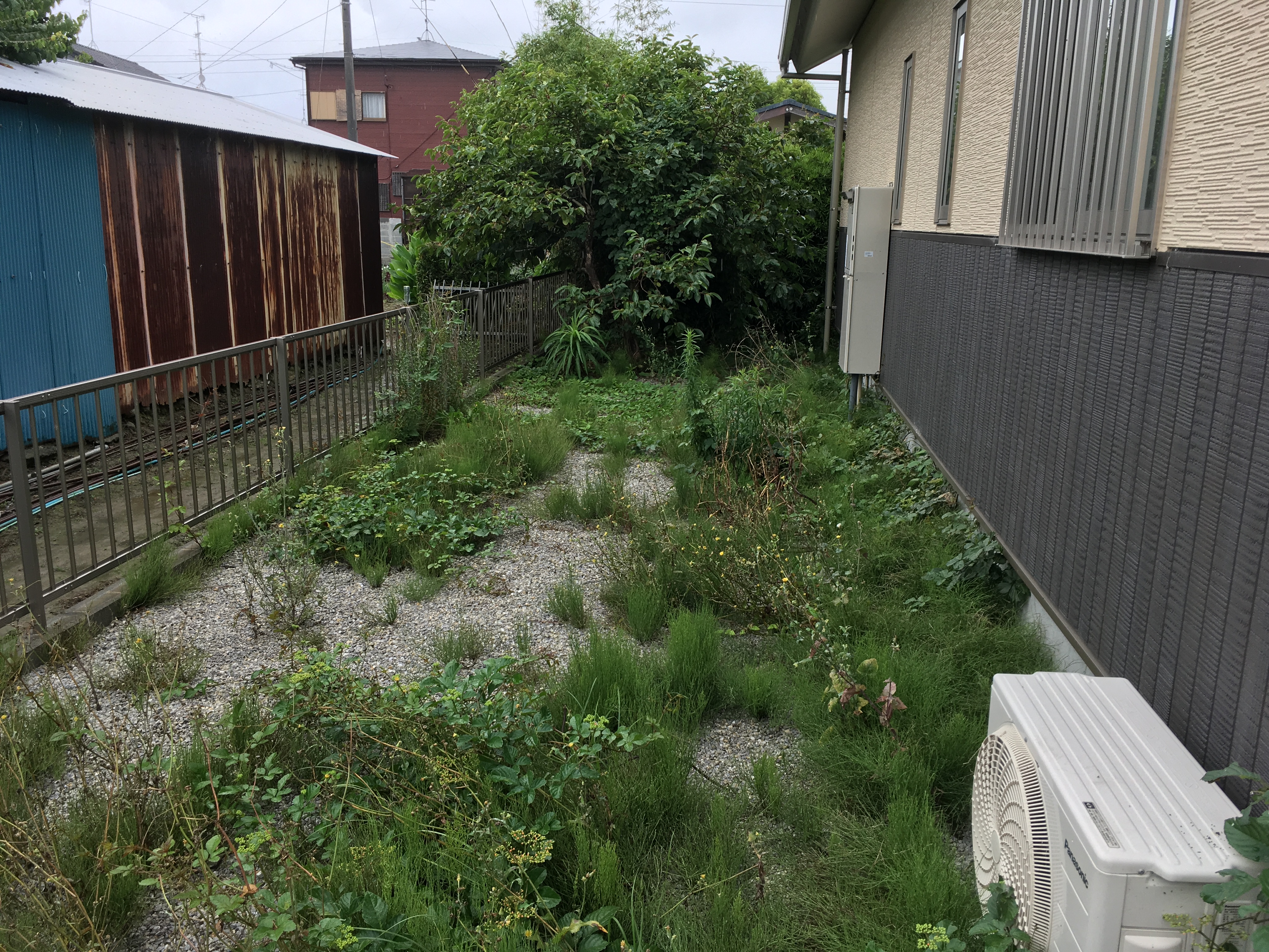 草刈り作業前(浜松市東区)