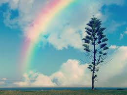 雨のち晴れ・障害者雇用